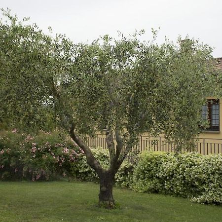 Agriturismo Scuderie Della Contea ซูตรี ภายนอก รูปภาพ
