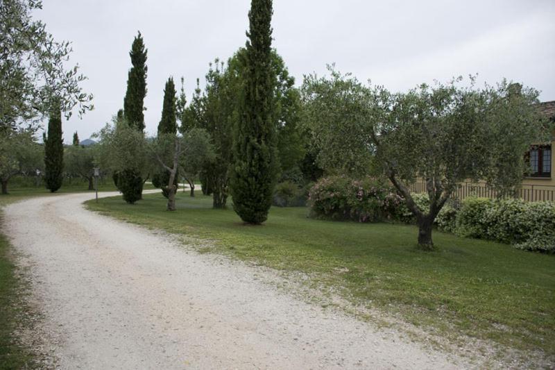 Agriturismo Scuderie Della Contea ซูตรี ภายนอก รูปภาพ