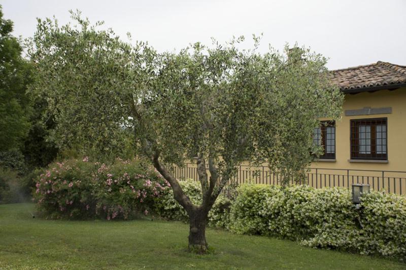 Agriturismo Scuderie Della Contea ซูตรี ภายนอก รูปภาพ